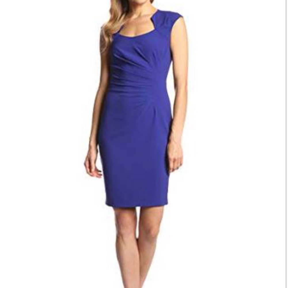 Calvin Klein Beautiful Women’s Dress
